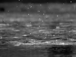 acqua di prima pioggia